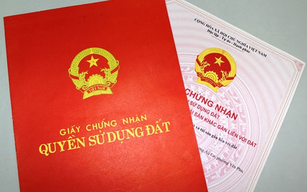 Nguồn gốc đất hộ ông Nguyễn Trí Tuệ tự san lấp là đất của tập thể quản lý